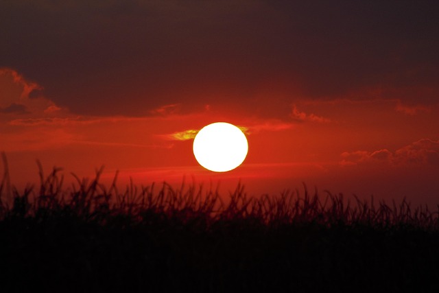 An open road leading to majestic mountains at sunset